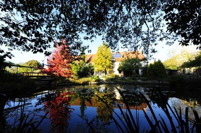 La grenouillere