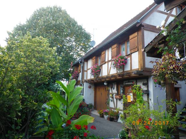 Photo Gte rural Kintzheim Gitelsass67