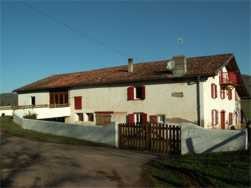 Pelloenea