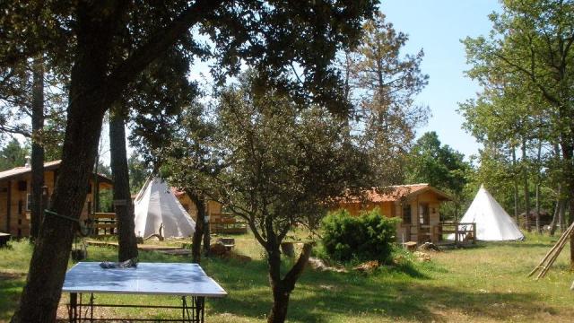 Photo Chalets bois Regusse Les cabanes de riquier