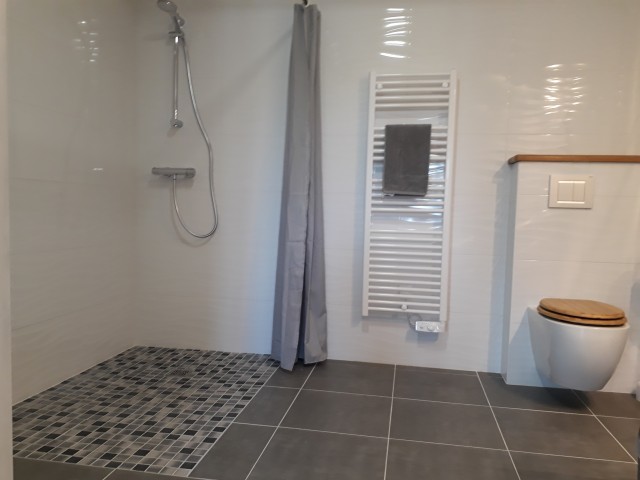 Salle d'eau adapte