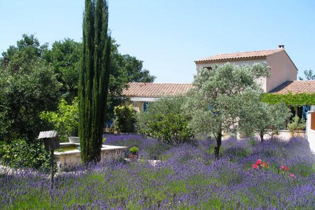 Photo Chambre et Suites de charme  Lacoste Le clos des lavandes