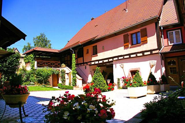 Le clos des raisins