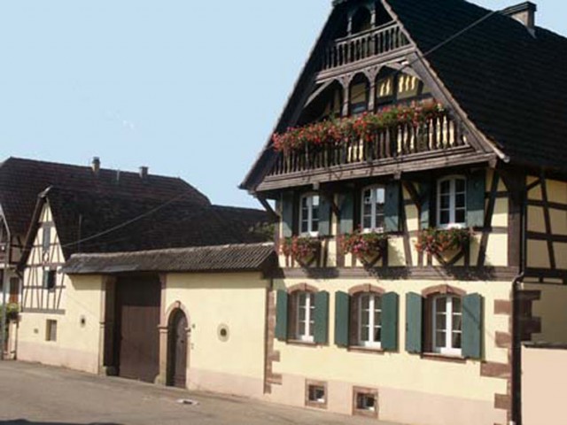  Gte au tilleul